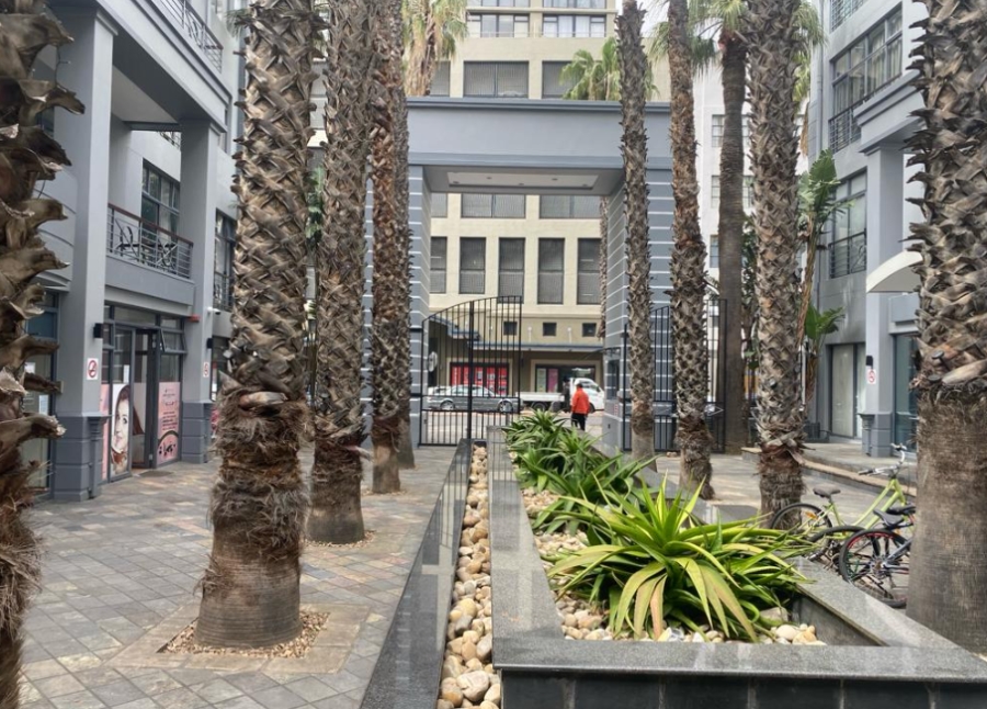 To Let 1 Bedroom Property for Rent in Cape Town City Centre Western Cape